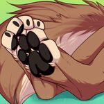  2016 4_toes ailuranthropy ambiguous_gender anthro barefoot black_claws black_pawpads brown_fur brown_tail canine claws digital_media_(artwork) digitigrade dog faceless_ambiguous foot_focus fur green_background hindpaw kobe_mutt low_res mammal multicolored_fur multicolored_tail pawpads paws signature simple_background solo toe_claws toes white_fur white_tail 