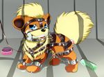  growlithe nintendo pokemon tagme 