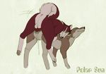  aleu balto kodi polar_sun tagme 