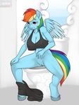  2013 anthro anthrofied blue_feathers clothing digital_media_(artwork) equine equine_legs feathered_wings feathers female fetlocks friendship_is_magic hair hi_res kloudmutt mammal multicolored_hair multicolored_tail my_little_pony pegasus purple_eyes pussy rainbow_dash_(mlp) rainbow_hair rainbow_tail sitting solo toilet wings 