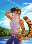  anthro black_hair brown_hair cheetah clothed clothing day detailed_background feline fur hair imanika male mammal outside sky smile spots spotted_fur standing sun topless yellow_eyes 