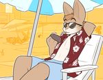  abs beach big_ears big_eyes bikini brown_hair chair clothing coconut_drink cute eyes_closed eyewear female fur hair hand_behind_back kilinah lagomorph male mammal nepomuk_(character) recliner red_shirt relaxing seaside sitting slim sunglasses swimming_trunks swimsuit 