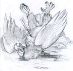  ambiguous_gender arrow avian beak blood claws death eyes_closed feathers feral hunting legs_up low_res lying monochrome on_back pencil_(disambiguation) realistic signature sketch snuff solo source_request spread_legs spreading talons tongue unknown_artist unknown_artist_signature wings 