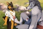  2017 animal_genitalia animal_penis anthro ball_fondling balls black_nose brown_eyes brown_fur canine canine_penis clothing digital_media_(artwork) dog duo erection eye_contact feet fondling foot_fetish footjob fur german_shepherd green_eyes grey_fur kneeling knot male male/male mammal maurick muscular nude open_mouth outside paws penis pink_penis precum sex snowfoxatheart teeth thundergrey toes tongue tongue_out wolf 