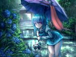  bad_id bad_pixiv_id bare_legs bent_over blouse blue_eyes blue_hair blue_skirt blue_vest blush eyebrows_visible_through_hair heterochromia highres holding holding_umbrella juliet_sleeves karakasa_obake knees_together_feet_apart long_sleeves looking_at_viewer maru_daizu_(aqua6233) miniskirt plant puffy_sleeves rain red_eyes sandals short_hair skirt smile solo tatara_kogasa tongue touhou umbrella vest white_blouse 