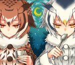  bangs black_hair brown_coat brown_hair cloud coat crescent_moon cup eurasian_eagle_owl_(kemono_friends) expressionless fur_trim gradient_eyes grey_coat half-closed_eyes highres holding holding_cup holding_spoon kemono_friends kyuumoto_kuku light_particles looking_down moon multicolored multicolored_eyes multicolored_hair multiple_girls night night_sky northern_white-faced_owl_(kemono_friends) red_eyes silhouette silver_hair sky spoon spoon_in_mouth streaked_hair tree two-tone_hair upper_body white_hair yellow_eyes 