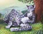  2017 4_toes anthro barefoot biped black_bottomwear black_bra black_clothing black_fur black_nose black_panties black_spots black_tail black_topwear black_underwear blue_eyes bra breasts cheek_tuft chest_tuft clothed clothing cloud day detailed_background digital_media_(artwork) feline female flower fluffy fluffy_tail full-length_portrait fur grass grey_fur grey_tail inner_ear_fluff ketty-leopardess leopard leopard_spots long_tail looking_at_viewer mammal multicolored_fur multicolored_tail outside panties plant portrait reclining signature sky smile snow_leopard solo spots spotted_fur spotted_tail toes tree tuft two_tone_tail underwear white_fur 