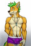  2017 anthro beard biped black_nose blue_eyes boxers_(clothing) bulge canine chest_tuft claws clothed clothing countershade_face countershade_torso countershading digital_media_(artwork) dingo ear_piercing eyebrows facial_hair front_view fur gloves_(marking) goatee gradient_background green_claws green_hair green_tail hair hand_behind_back hi_res inner_ear_fluff jewelry looking_at_viewer male mammal markings mohawk multicolored_fur multicolored_tail navel necklace orange_fur orange_tail pendant piercing portrait pubes purple_bottomwear purple_clothing purple_underwear signature simple_background smile smirk snout solo standing tan_countershading tan_fur teeth three-quarter_portrait topless tsaiwolf tuft two_tone_fur two_tone_tail underwear urbandingo 