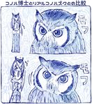 &gt;_&lt; animal bird blue blush closed_eyes coat comic commentary_request eyebrows_visible_through_hair fur_collar fur_trim head_wings kemono_friends long_sleeves monochrome multicolored_hair northern_white-faced_owl_(kemono_friends) open_mouth owl realistic sakino_shingetsu short_hair tears translated 