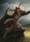  4_toes anthro black_nose canine caraid day detailed_background digitigrade female fox grass mammal nude outside rock sitting sky solo toes tree 