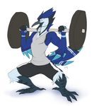  anthro avian bird blue_jay clothed clothing corvid exercise male muscular solo standing sweat tongue tongue_out weightlifting workout yogoat 
