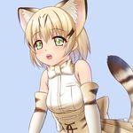  animal_ears animal_print bare_shoulders blonde_hair blue_background bow bowtie cat_ears cat_tail elbow_gloves extra_ears eyes_visible_through_hair fang gloves green_eyes high-waist_skirt highres kemono_friends open_mouth print_gloves print_skirt sand_cat_(kemono_friends) sand_cat_print shirt short_hair simple_background sion_(9117) skirt sleeveless sleeveless_shirt solo striped_tail tail upper_body 