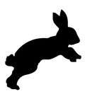  icon lagomorph mammal rabbit t&eacute;st 