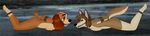  anthro anthrofied ball_gag balto balto_(film) bdsm bondage bound canine crossover disney dog folwilliar gag lady lady_and_the_tramp mammal 