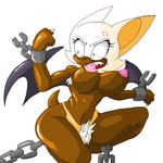  cyanzangoose rouge_the_bat sonic_team tagme 