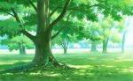  commentary_request day grass hariken highres hokkaido meadow nature no_humans original outdoors real_world_location scenery tree tree_shade 