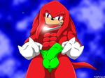  knuckles_the_echidna sonic_team tagme 