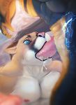  2016 anthro anthro_on_anthro blue_eyes blush cougar cum cum_in_mouth cum_inside cum_on_face dangpa digital_media_(artwork) digital_painting_(artwork) duo erection feline fellatio fur hand_on_head hi_res interspecies male male/male mammal manly multicolored_fur muscular muscular_male nipples nude open_mouth oral oral_pgenetration pecs penis pink_nose reptile scales scalie sex sharp_teeth snake snout teeth white_fur 