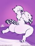  2017 amelia_abernachy anthro avian beak bed big_butt bird black_feathers blush butt eyewear feathered_wings feathers female glasses looking_at_viewer looking_back nekocrispy nude open_mouth owl simple_background snowy_owl solo tail_feathers talons thick_thighs white_feathers wings 