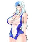  blue_eyes blue_hair breasts cleavage commentary_request danna_(karatekikku) kamishirasawa_keine large_breasts long_hair looking_at_viewer one-piece_swimsuit see-through silver_hair solo swimsuit touhou 