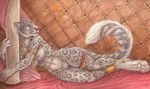  2017 4_toes 5_fingers anklet anthro armlet blue_eyes breasts detailed_background feline female fur grey_fur inside jewelry leopard looking_aside lying mammal mostly_nude navel nipples on_side paws pinup pose pussy rukis solo spots spotted_fur toes whiskers 