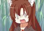  1girl animal_ears bamboo bamboo_forest brown_hair forest imaizumi_kagerou japa long_hair nature solo touhou wolf_ears 
