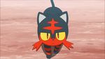  animated animated_gif cat lillie_(pokemon) litten lychee_(pokemon) pokemon pokemon_(anime) pokemon_sm pokemon_sm_(anime) satoshi_(pokemon) suiren_(pokemon) 