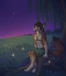  2012 anthro barefoot black_hair black_nose brown_fur canine clothed clothing detailed_background digitigrade fur grass hair heterochromia male mammal neotheta sky smile solo star starry_sky topless wolf 