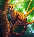  2012 ambiguous_gender brown_eyes claws day feline feral mammal margay neotheta outside paws solo watermark 