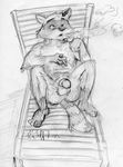  aiden_harris balls cigarette closet_coon male mammal monochrome nude penis raccoon relaxing smoke smoking traditional_media_(artwork) 