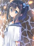  arm_at_side black_hair blouse blue_eyes blue_ribbon breasts collarbone eyes_visible_through_hair hair_between_eyes hair_ribbon looking_at_viewer one_side_up original outdoors ribbon school_uniform serafuku shade shiny shiny_hair short_hair small_breasts smile solo stone_wall sunlight suzunari_shizuku tareme upper_body wall white_blouse yuki_arare 