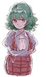  breasts cleavage commentary_request green_hair kazami_yuuka large_breasts looking_at_viewer mitsumoto_jouji red_eyes solo touhou 