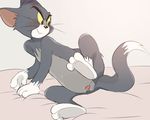  animal_genitalia animal_penis anthro atori balls bed blush cat cum erection feline male mammal penis precum presenting simple_background solo sweat tom_(tom_&amp;_jerry) tom_and_jerry 