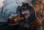  5_fingers anthro black_nose canine clothed clothing day detailed_background ear_piercing green_eyes holding_object male mammal outside piercing scar sky solo wolf wolnir 