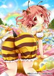  all_fours ass bare_shoulders blonde_hair blush brown_eyes brown_ribbon cameltoe company_name crown eyebrows_visible_through_hair flower hair_ribbon honey insect_wings jar kneehighs looking_at_viewer official_art picpicgram pink_hair plaid plaid_ribbon ribbon shinkai_no_valkyrie short_hair short_twintails solo stinger twintails white_legwear wings 