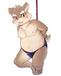  4_toes anthro blush bound briefs brown_fur bulge clothing fur hands_behind_back looking_at_viewer male mammal moritaka open_mouth overweight scar simple_background solo teenager toes tokyo_afterschool_summoners underwear woong young 