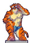  abs chest_tuft clothing eyewear feline goggles mammal morenatsu muscular pecs raozone smile speedo swimsuit tiger torahiko_(morenatsu) tuft 