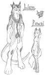  canine dragon female fox hybrid liam male mammal pawpi warwolf47 wolf 