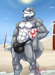  anthro bulge canine hungothenomster male mammal nintendo solo sport star_fox video_games volleyball wolf wolf_o&#039;donnell 