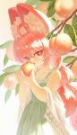  1girl absurdres alternate_costume animal_ear_fluff animal_ears braid braided_twintails breasts cleavage collarbone commentary dress eating fingernails food frilled_dress frilled_straps frills fruit furry furry_female green_dress highres holding holding_food holding_fruit lace-trimmed_shawl looking_at_viewer peach peach_tree pink_fur pink_hair rabbit_ears rabbit_girl rabbit_tail red_eyes sharp_fingernails shawl sleeveless sleeveless_dress small_breasts solo strap tail tree twin_braids untranslatable_commentary white_shawl yamisroot zenless_zone_zero zhao_(zenless_zone_zero) 