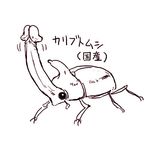  kabuto_mushi rhinoceros_beetle stag_bettle tagme 