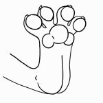  ambiguous_gender animated anthro claws feet foot_focus hi_res hindpaw mammal pawpads paws soles solo spread_toes theenyface toe_curl toes 
