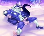 2017 5_fingers abs anthro balls biceps blue_nose blue_skin bulge canine clothing eyebrows fox gesturing hair holding_penis hungothenomster looking_aside looking_at_viewer male mammal mane markings muscular penis penis_outline pink_eyes sitting smile socks_(marking) solo tight_underwear underwear vizier white_hair white_skin 
