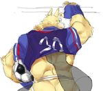  anthro butt canine clothing colored dubudubudubudub jockstrap looking_at_viewer male male/male mammal muscular simple_background soccer solo sport underwear white_background 