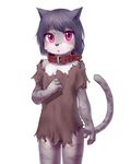  1girl black_hair cat collar female furry open_mouth raizinndx slave solo violet_eyes 