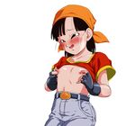  bandanna black_hair dragon_ball dragonball_gt dragonball_z fingerless_gloves gloves nipples pan_(dragon_ball) rom_(20) 