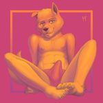  5_toes anthro black_nose briefs brown_eyes brown_fur bulge canine clothing dog erection fur male mammal navel nipples rov simple_background sitting solo spread_legs spreading teenager toes underwear yellow_sclera young 