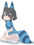  black_hair blue_eyes collar cosplay extra_ears highres kaban_(kemono_friends) kemono_friends kemonomimi_mode lucky_beast_(kemono_friends) lucky_beast_(kemono_friends)_(cosplay) no_pants open_mouth panties short_hair solo striped_tail sweatdrop tail teranekosu underwear white_panties 