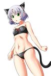  1girl animal_ears bikini black_bikini blush breasts cat_ears green_eyes sanya_v_litvyak small_breasts solo steed_(steed_enterprise) strike_witches tail white_hair world_witches_series 