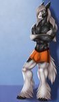  2016 anthro biped black_fur black_hooves blue_background blue_eyes boxers_(clothing) bulge clothed clothing crossed_arms digital_media_(artwork) equine feathering front_view full-length_portrait fur hair hair_over_eye hi_res hooves horse jonas-puppeh long_hair looking_at_viewer male mammal multicolored_fur orange_bottomwear orange_clothing orange_underwear portrait siberianstall simple_background snout solo standing topless two_tone_fur underwear white_fur white_hair white_tail 